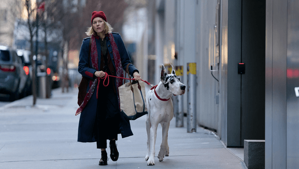 Claim a double pass to see The Friend, in cinemas July 31