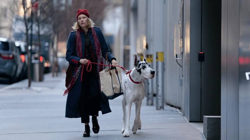 Claim a double pass to see The Friend, in cinemas July 31 - Image