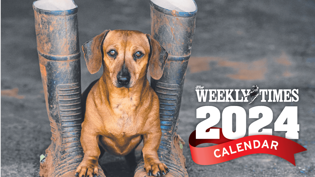 <p>
	The Weekly Times 2024 Dog Calendar is now available
</p>
